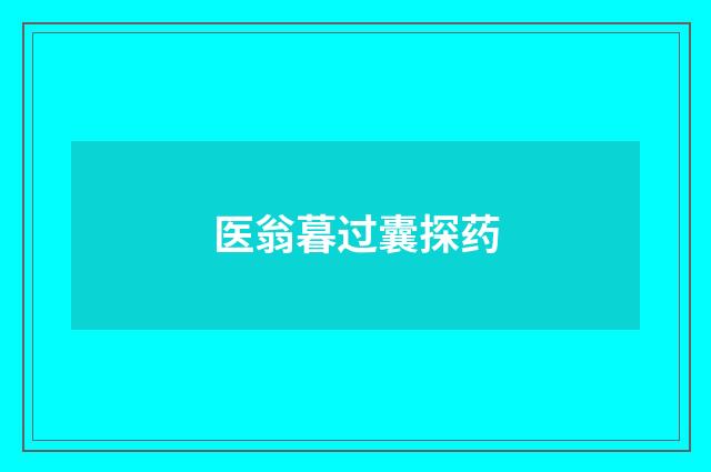 医翁暮过囊探药