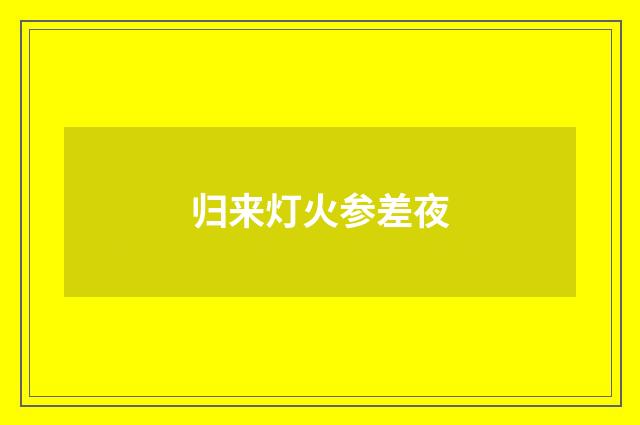 归来灯火参差夜