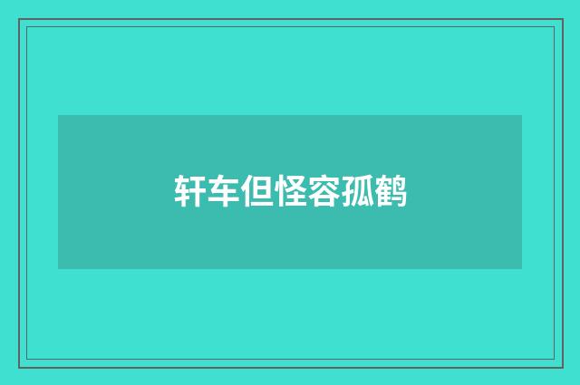 轩车但怪容孤鹤