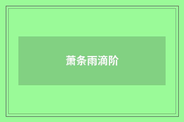 萧条雨滴阶