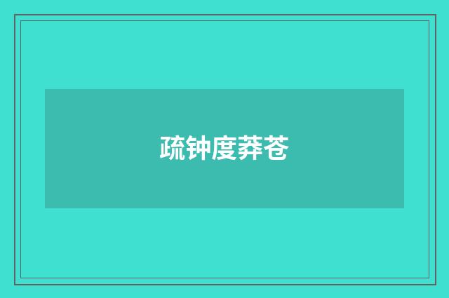 疏钟度莽苍