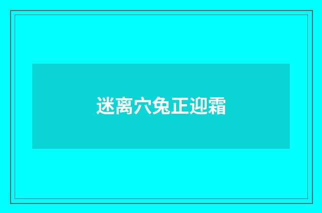 迷离穴兔正迎霜