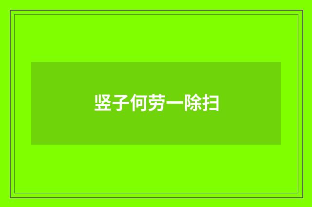 竖子何劳一除扫