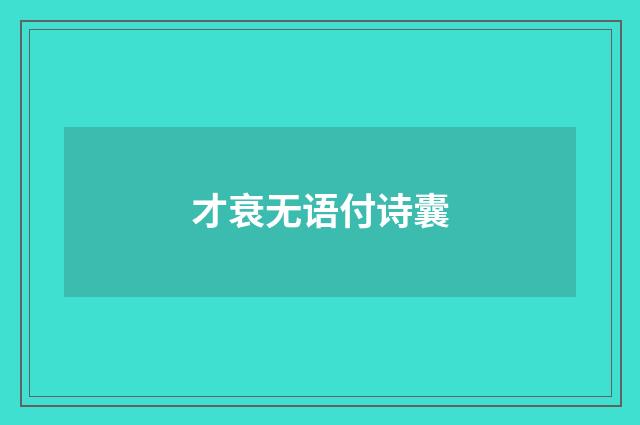 才衰无语付诗囊
