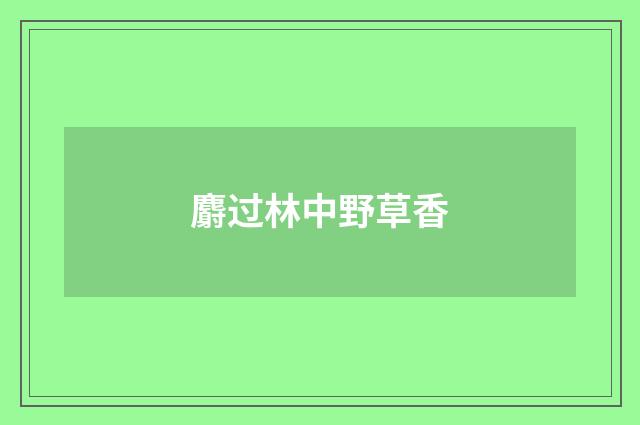 麝过林中野草香
