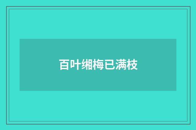 百叶缃梅已满枝