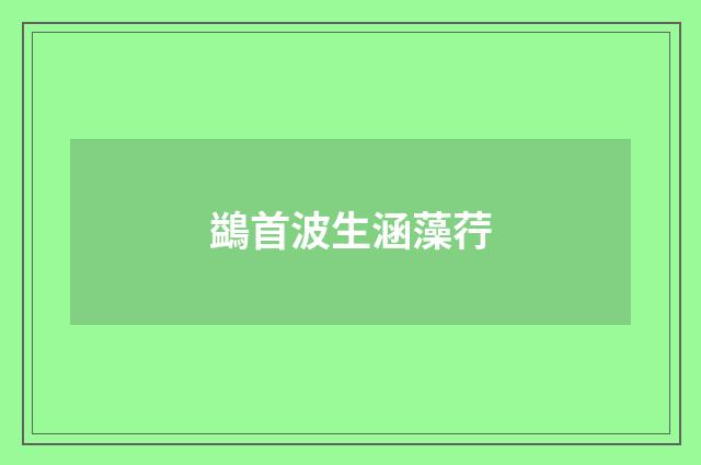 鷁首波生涵藻荇