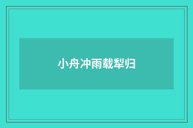 小舟冲雨载犁归