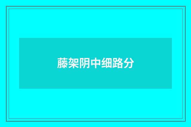 藤架阴中细路分