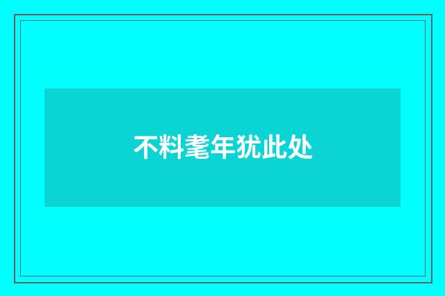不料耄年犹此处