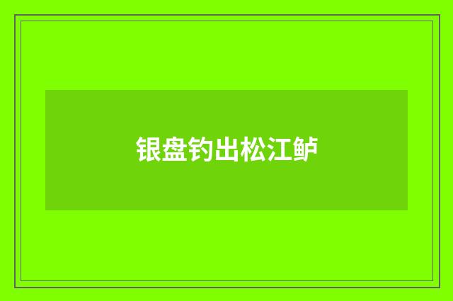 银盘钓出松江鲈
