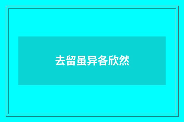 去留虽异各欣然
