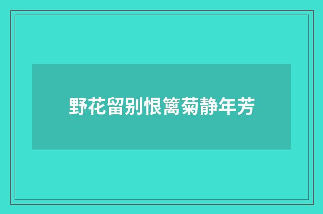 野花留别恨篱菊静年芳