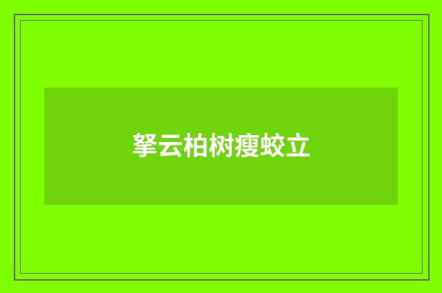 拏云柏树瘦蛟立