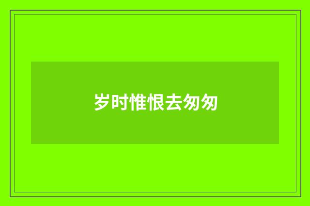 岁时惟恨去匆匆