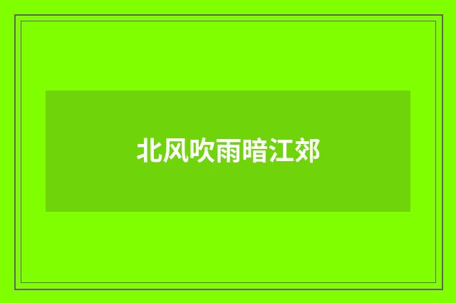 北风吹雨暗江郊