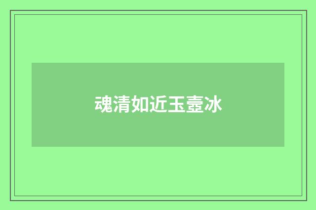 魂清如近玉壼冰
