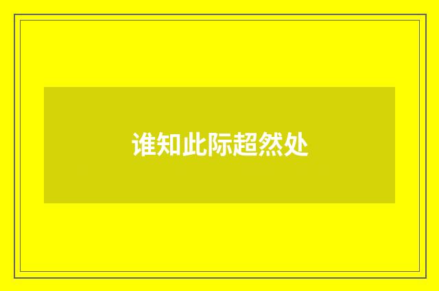 谁知此际超然处