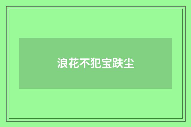 浪花不犯宝趺尘