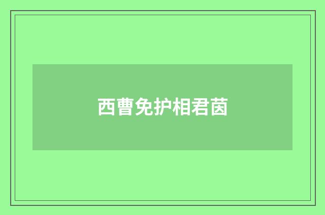 西曹免护相君茵