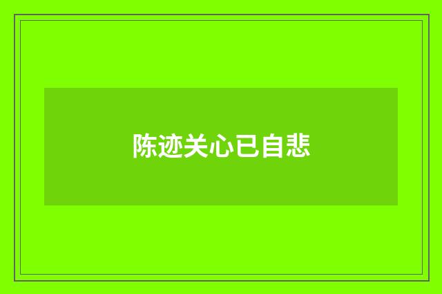 陈迹关心已自悲