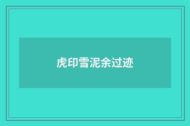 虎印雪泥余过迹