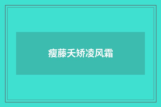 瘦藤夭矫凌风霜