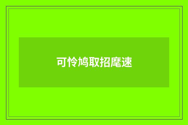 可怜鸠取招麾速
