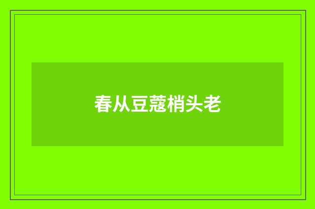 春从豆蔻梢头老