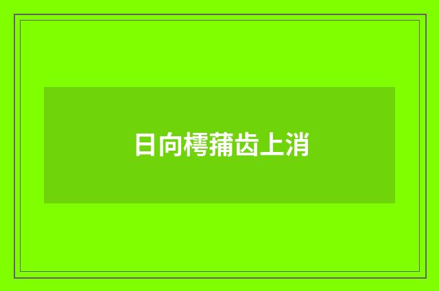 日向樗蒱齿上消