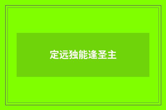 定远独能逢圣主