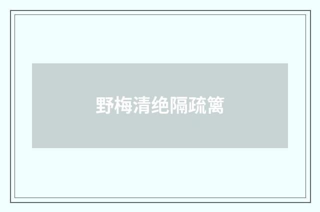 野梅清绝隔疏篱