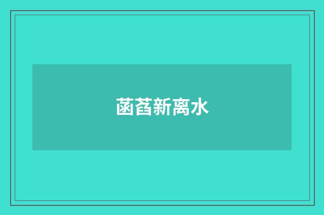 菡萏新离水