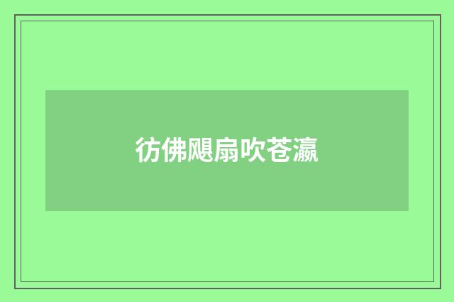 彷佛飓扇吹苍瀛