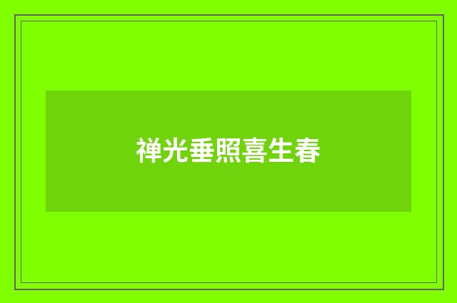 禅光垂照喜生春