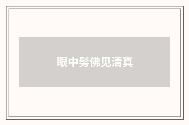 眼中髣佛见清真