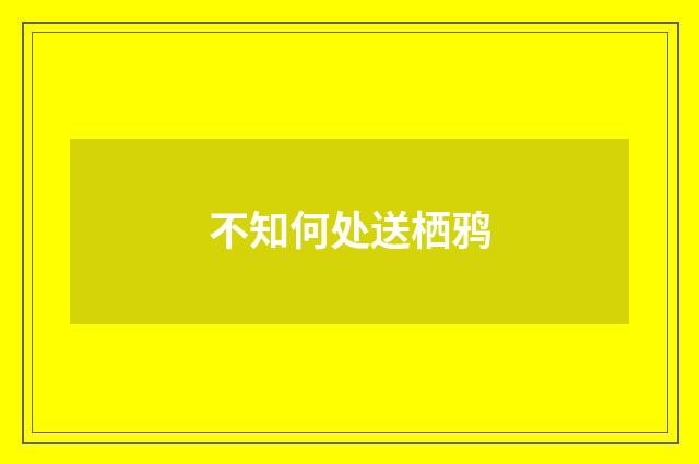 不知何处送栖鸦