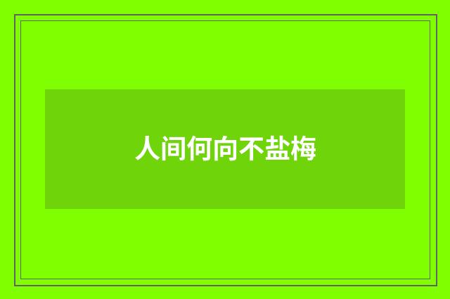 人间何向不盐梅