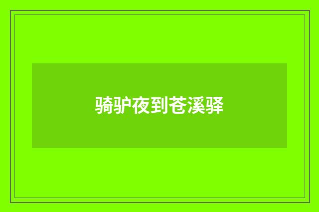 骑驴夜到苍溪驿