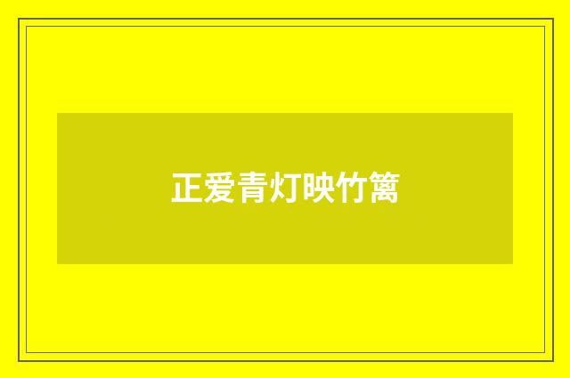 正爱青灯映竹篱