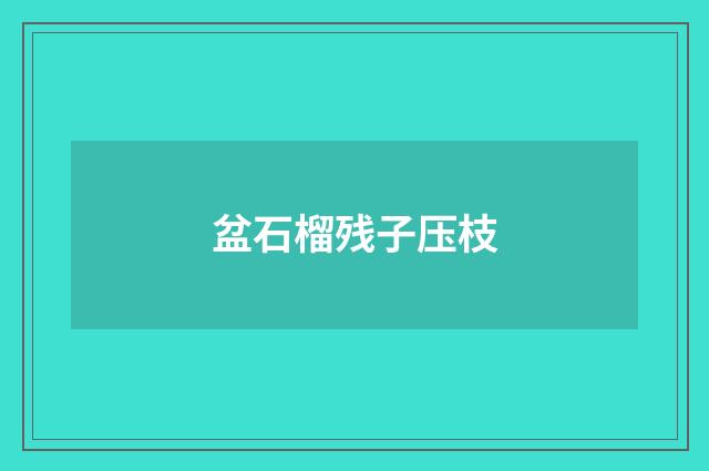 盆石榴残子压枝