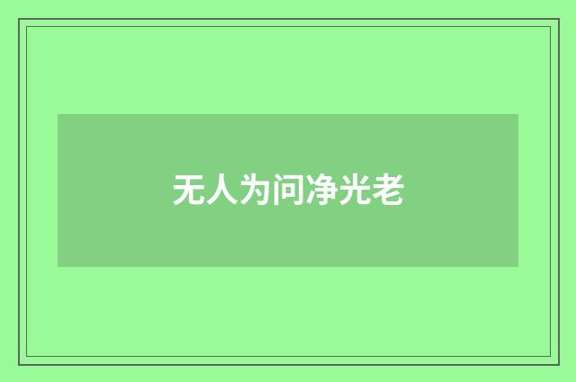 无人为问净光老