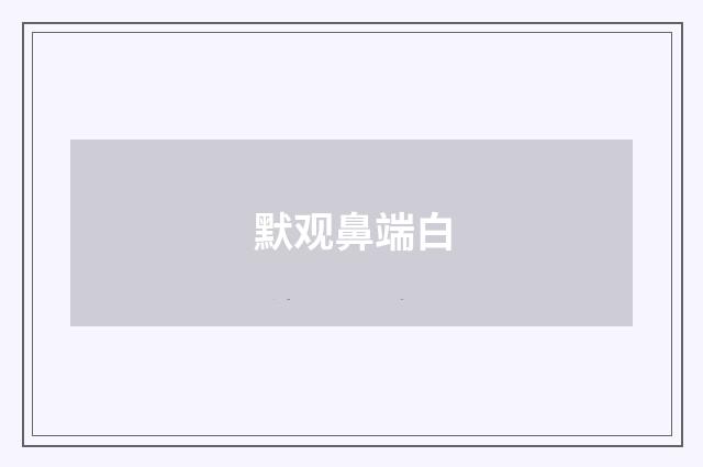 默观鼻端白