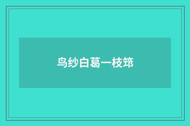 鸟纱白葛一枝筇