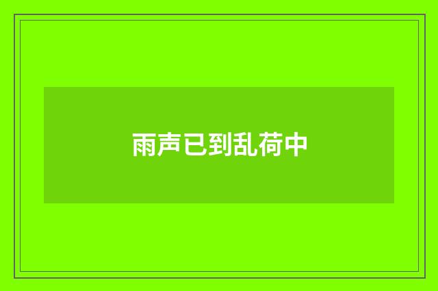 雨声已到乱荷中