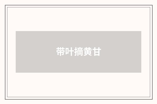 带叶摘黄甘
