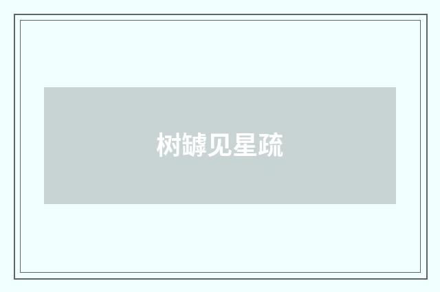 树罅见星疏