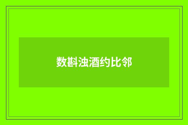 数斟浊酒约比邻