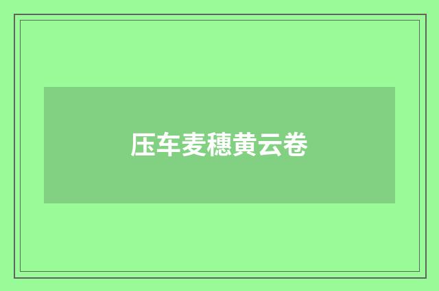 压车麦穗黄云卷