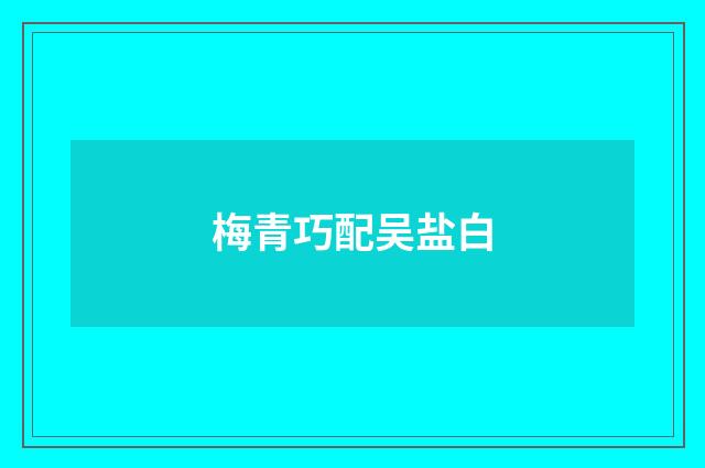 梅青巧配吴盐白